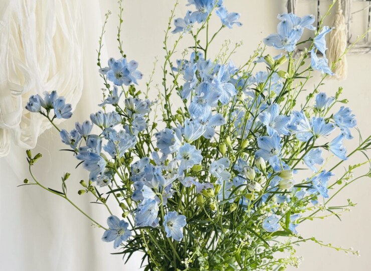 blue0415